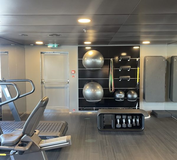 Scenic Eclipse Gym Ball And Pilates Equipment