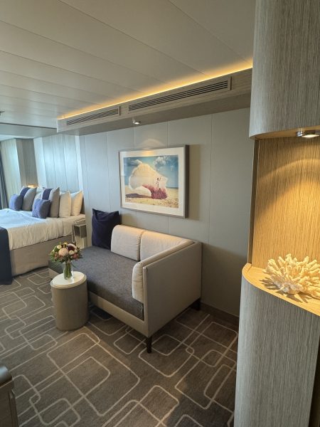 Edge Stateroom With Infinite Verandah Celebrity Edge