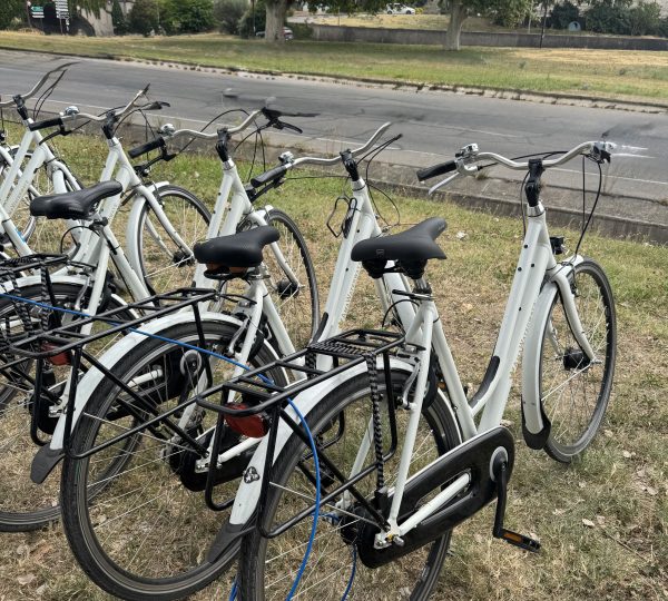 Bike riding with AmaWaterways